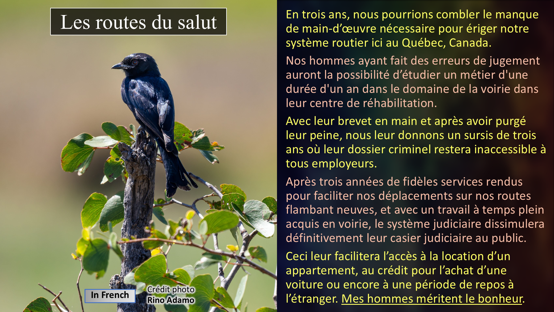 Les routes du salut