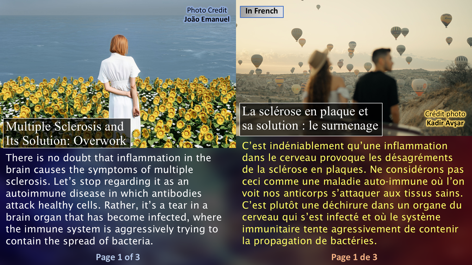 Multiple Sclerosis and Its Solution / La sclérose en plaque et sa solution - Page 01