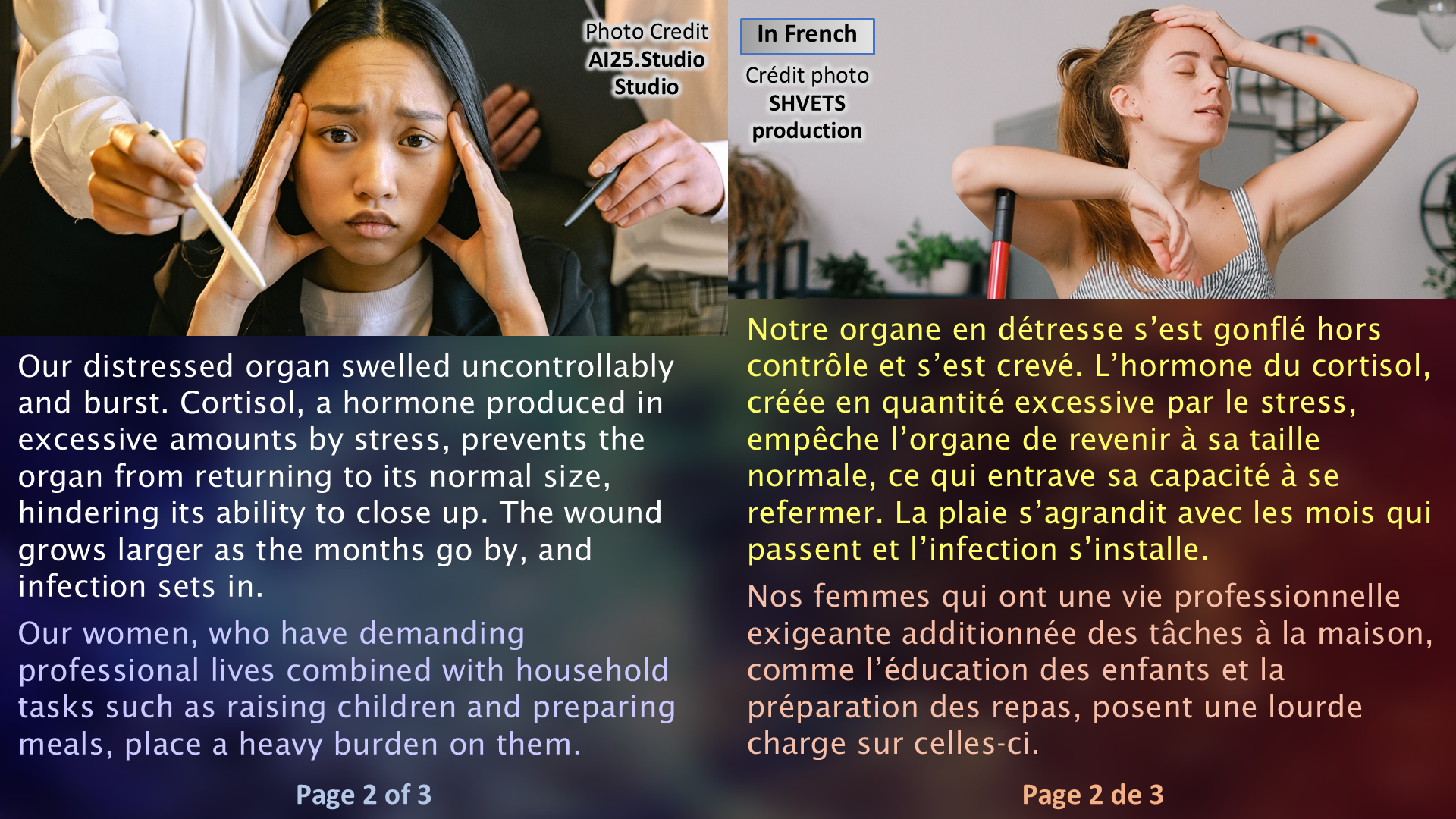 Multiple Sclerosis and Its Solution / La sclérose en plaque et sa solution - Page 02
