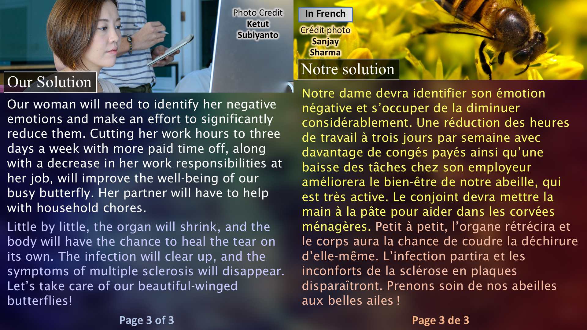Multiple Sclerosis and Its Solution / La sclérose en plaque et sa solution - Page 03