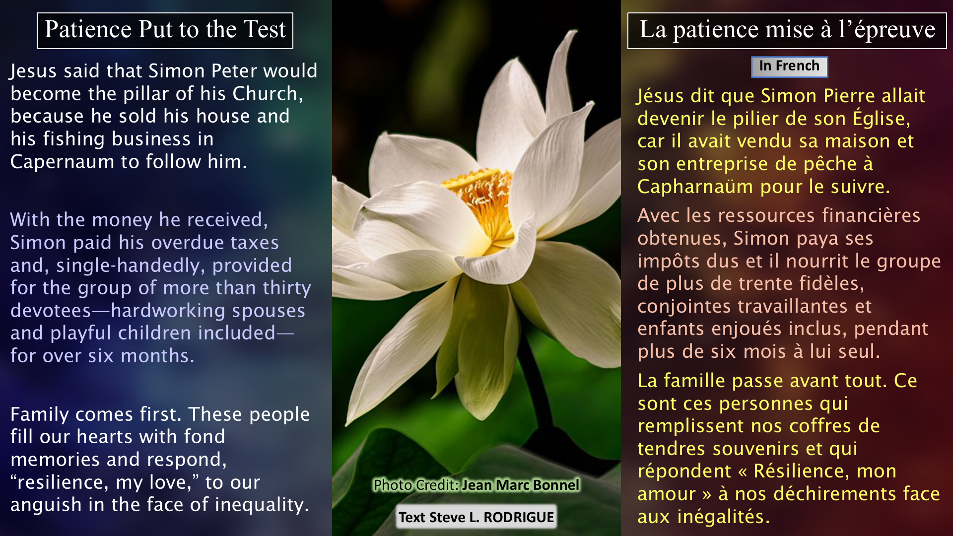 Patience Put to the Test / La patience mise à l’épreuve