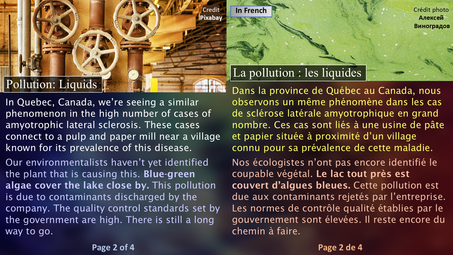Amyotrophic Lateral Sclerosis and the Toxin / La sclérose latérale amyotrophique et la toxine - Page 2