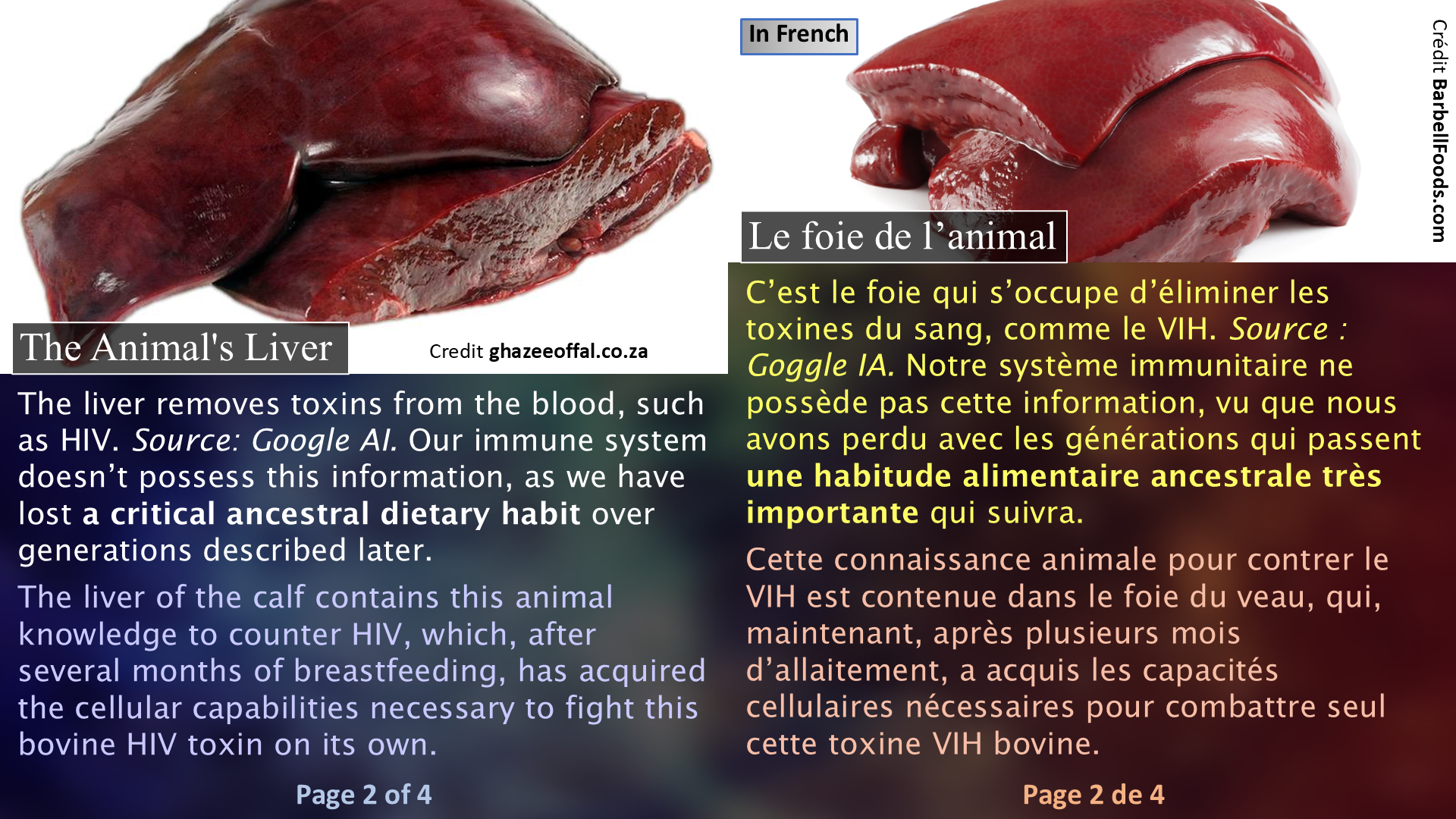 HIV and The Solution / Le VIH et la solution - Page 2
