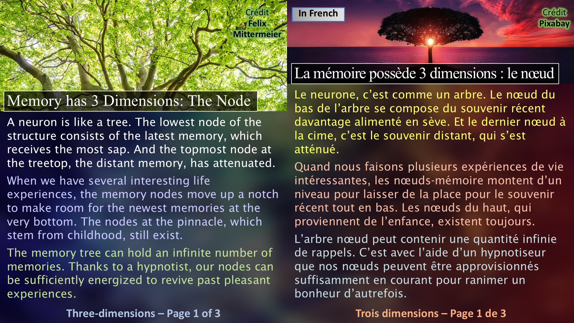 Memory has 3 dimensions / La mémoire possède 3 dimensions - Page01
