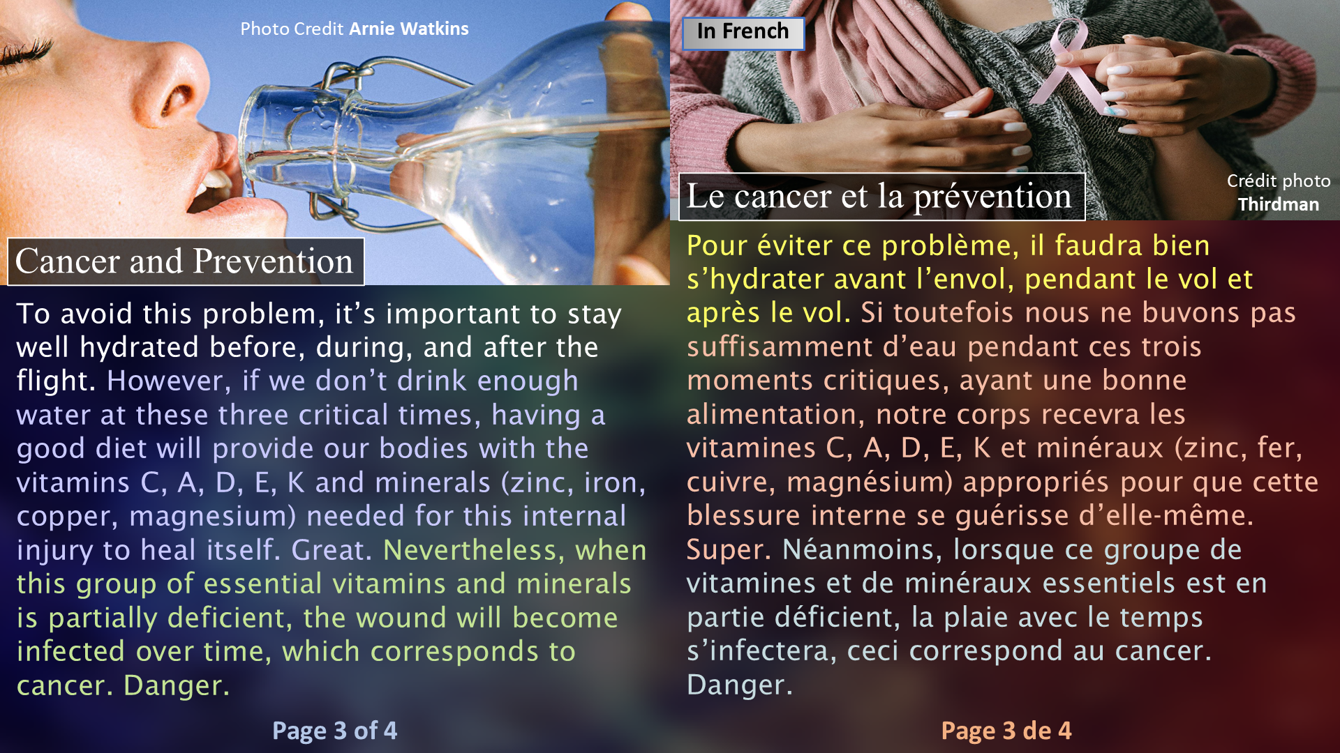 Breast and Prostate Cancers: The Plane / Le cancer du sein et de la prostate : l’avion - Page 03