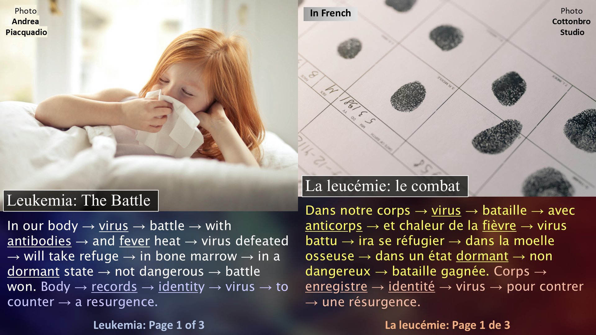Understanding Leukemia / Comprendre la leucémie - Page 1