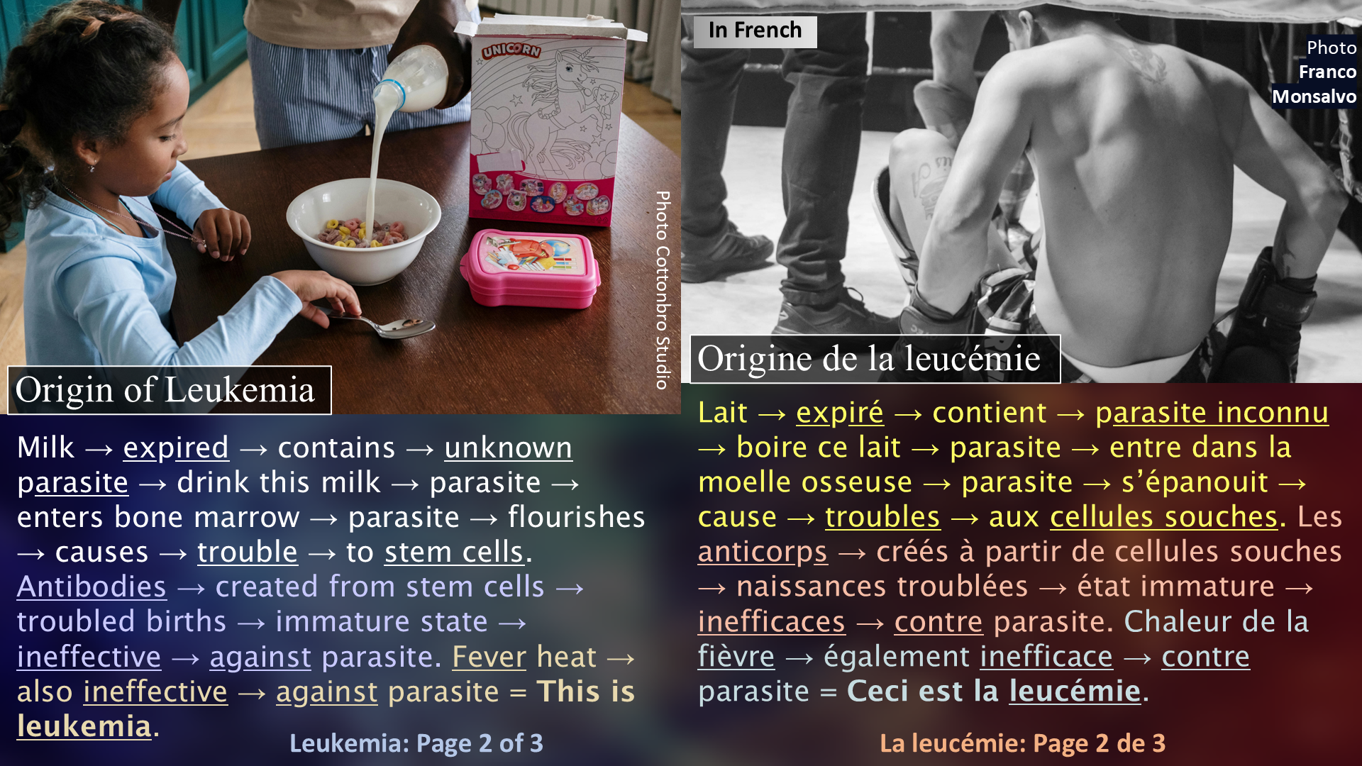 Understanding Leukemia / Comprendre la leucémie - Page 2