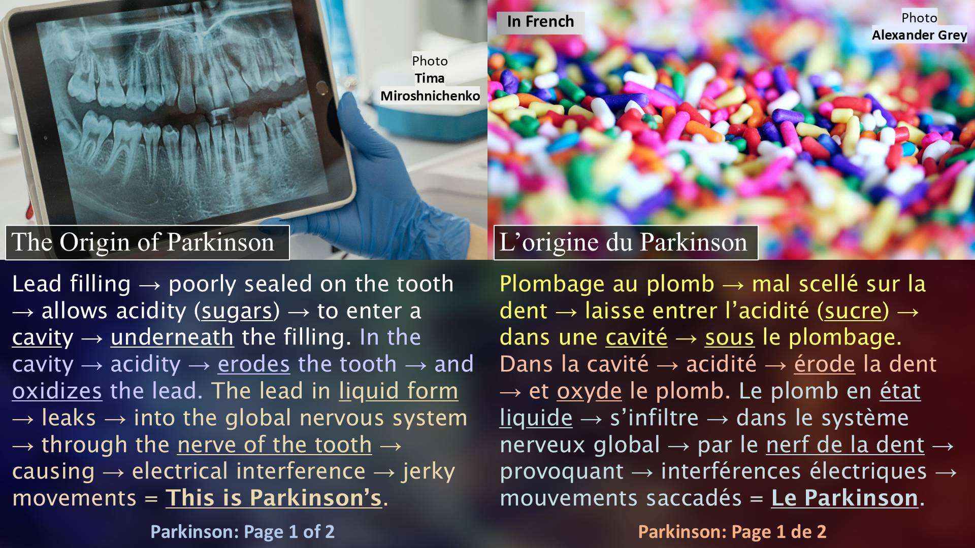 The Origin of Parkinson / L'origine du Parkinson - Page 1