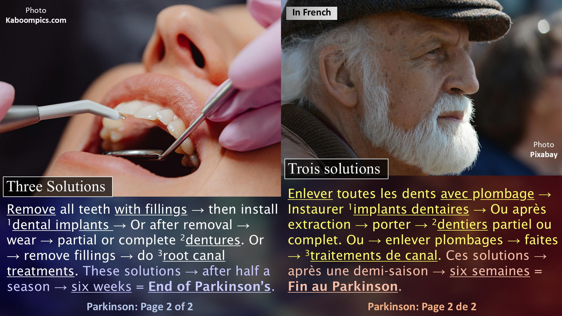 The Origin of Parkinson / L'origine du Parkinson - Page 2