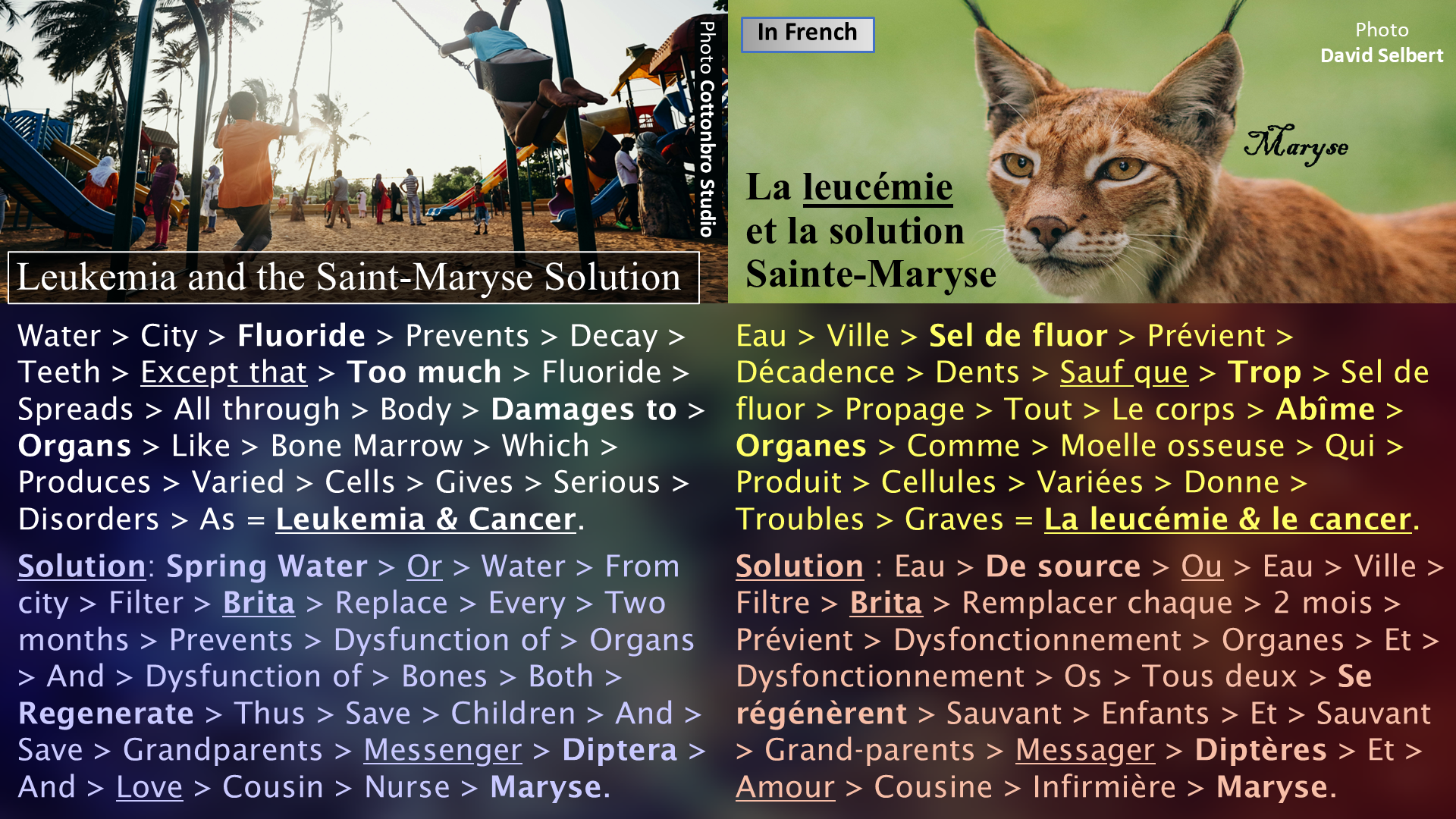Leukemia and the Saint-Maryse Solution / La leucémie  et la solution Sainte-Maryse