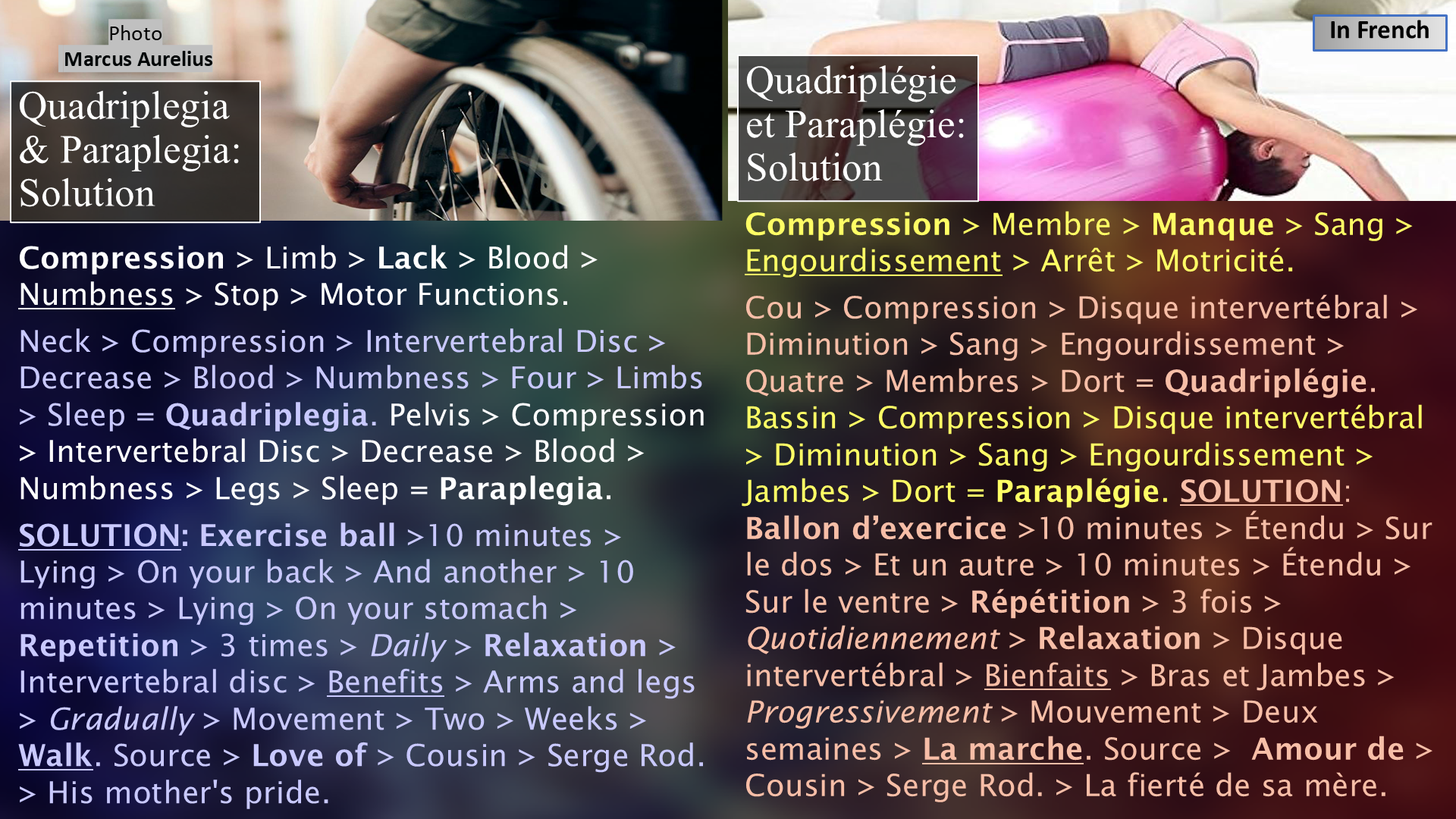 Quadriplegia & Paraplegia: Solution / Quadriplégie et Paraplégie: Solution