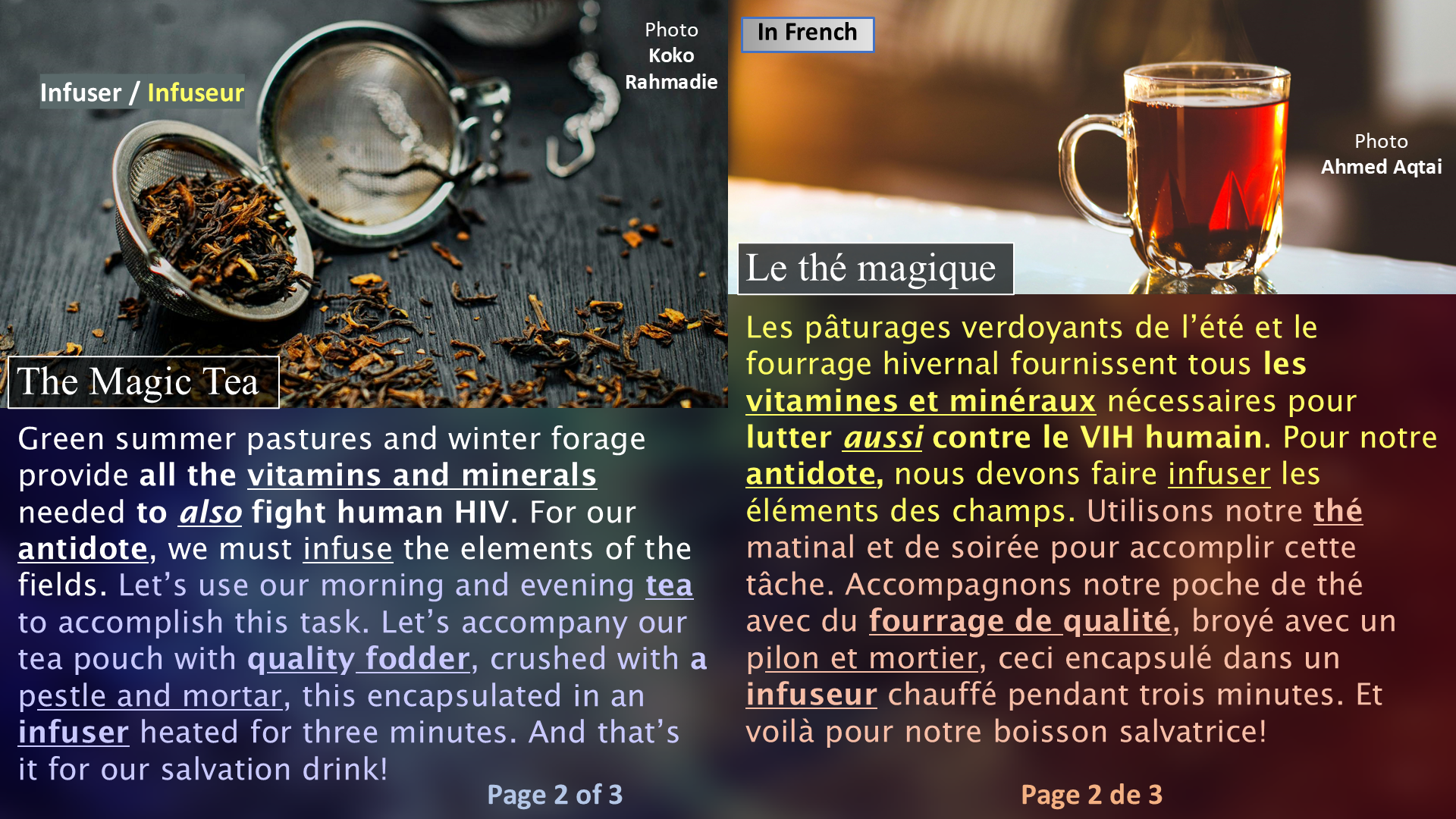 The Magic Potion / La potion magique - Page 2