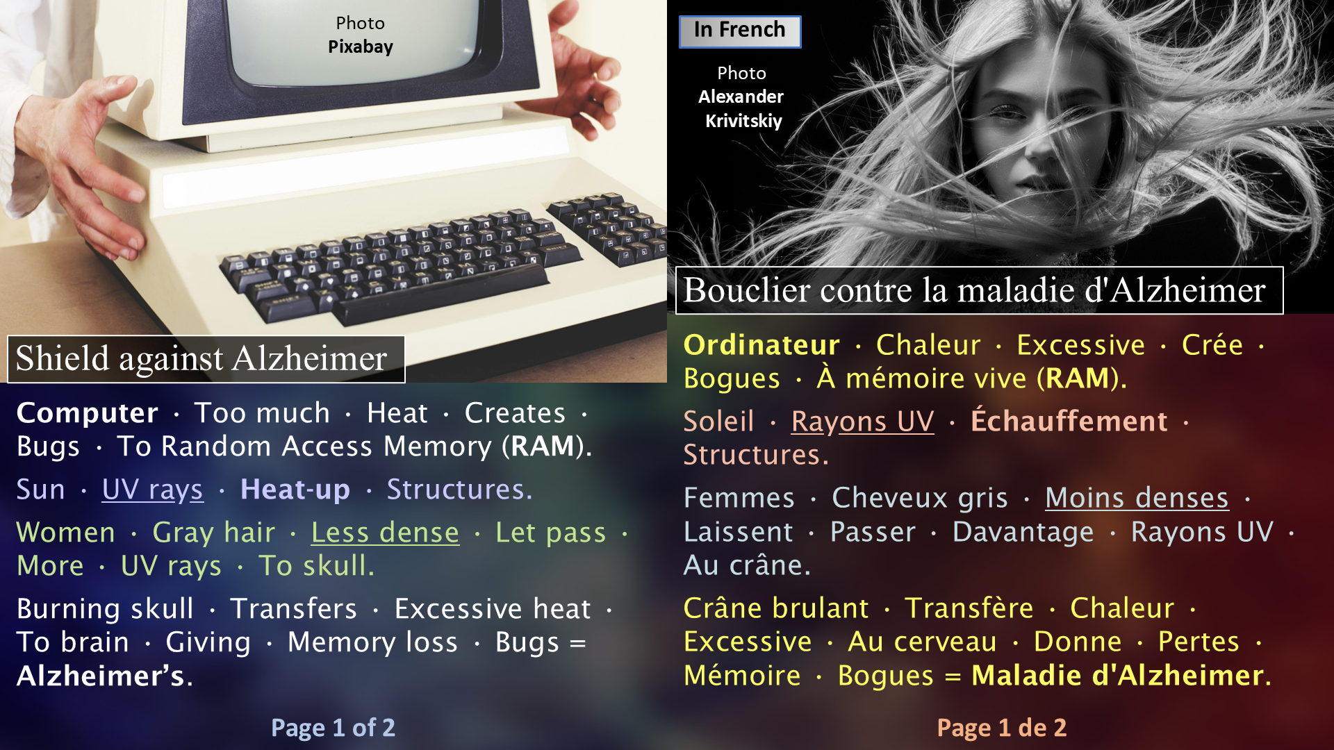 The Alzheimer Formula / La formule de l'Alzheimer - Page 1