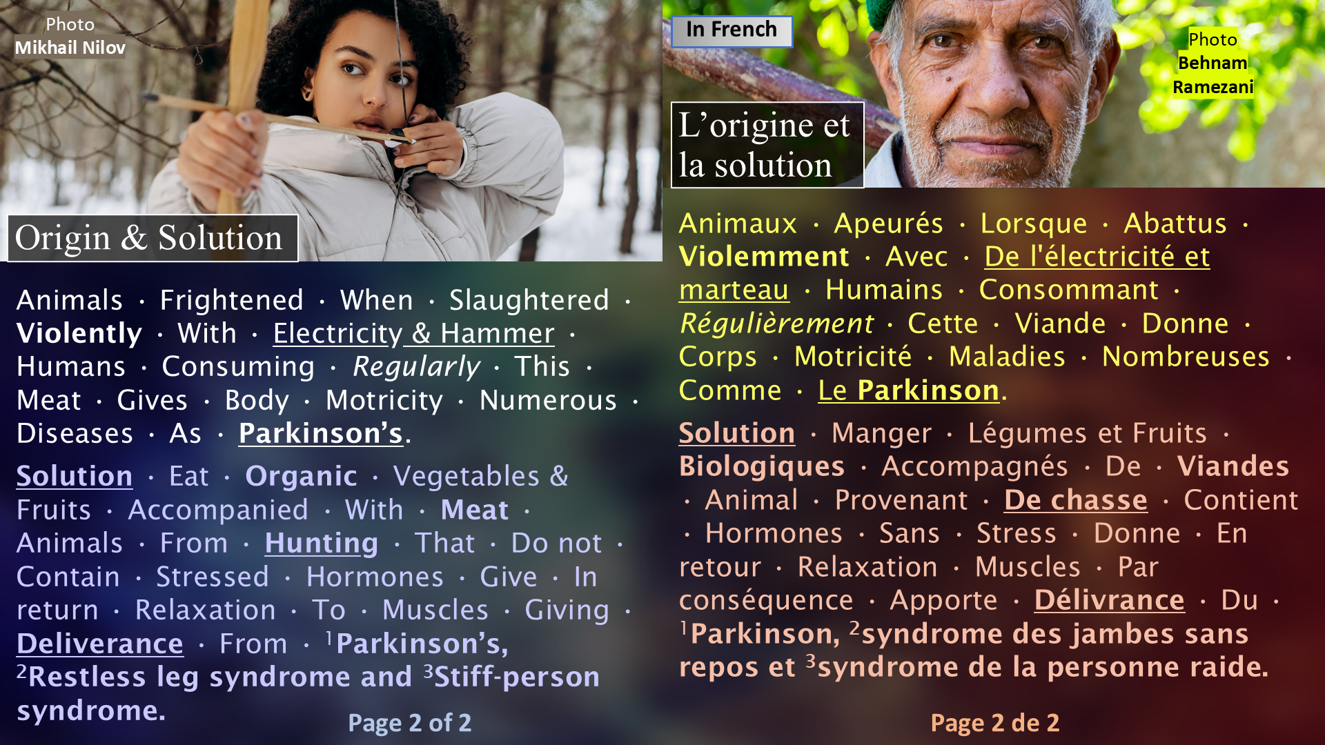 The Parkinson Formula / La formule du Parkinson - Page 2