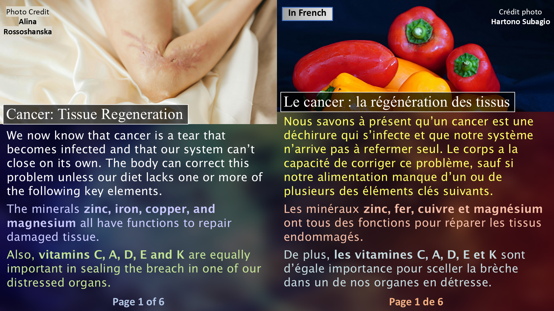 Cancer and the CADEK / Le cancer et le CADEK - Page 01